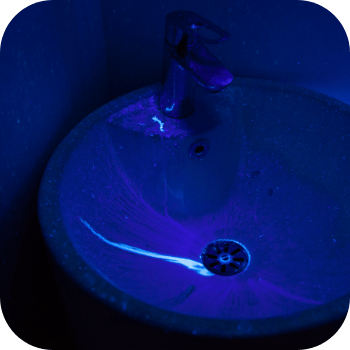 Read results with a 365nm UV light with visible light filter: only semen stains will glow in a blue color